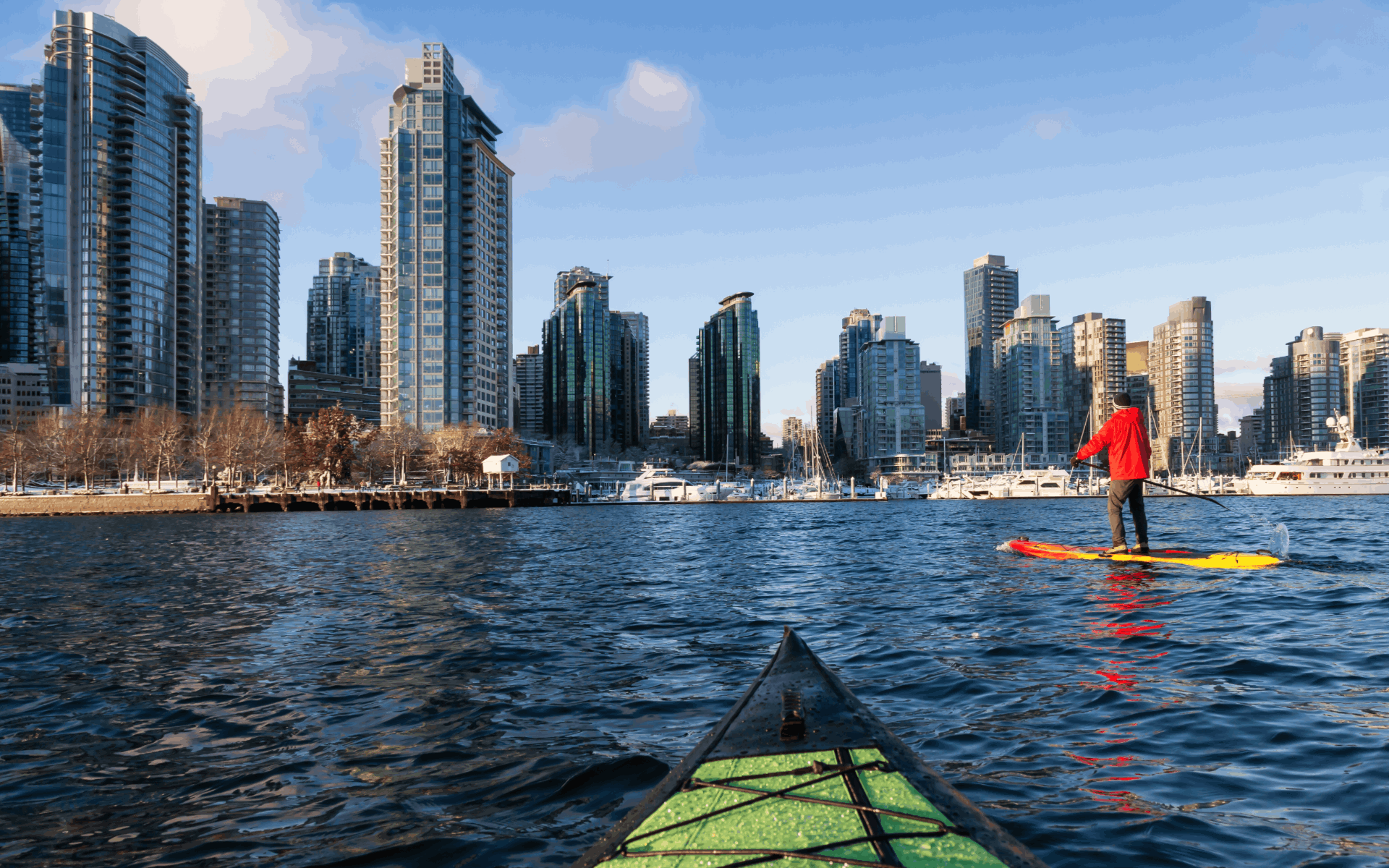 Kayakers in Vancouver, British Columbia harbour